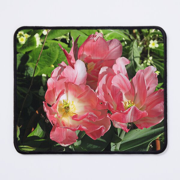 Item preview, Pink Tulip designed and sold by Katy Fryd.