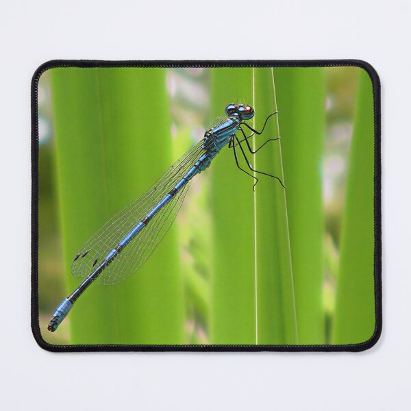 Item preview, Damselfly designed and sold by Katy Fryd.