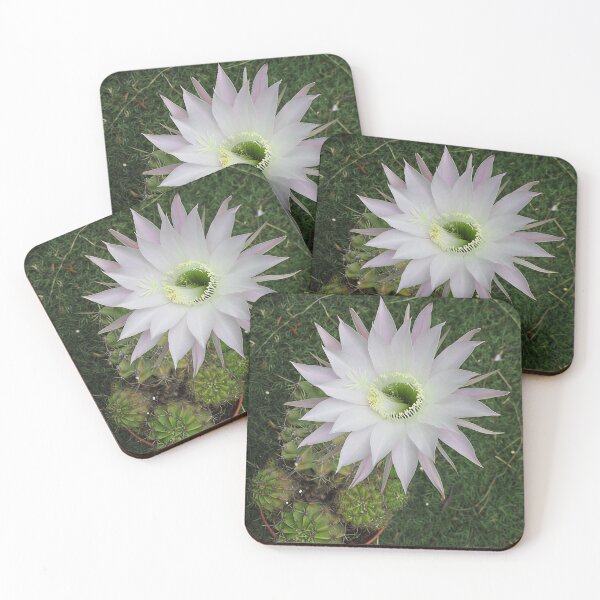Item preview, Flowering Cactus  designed and sold by Katy Fryd.