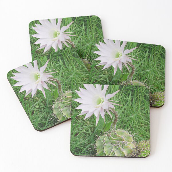 Item preview, Flowering Cactus II designed and sold by Katy Fryd.
