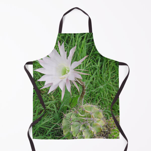 Item preview, Flowering Cactus II designed and sold by Katy Fryd.