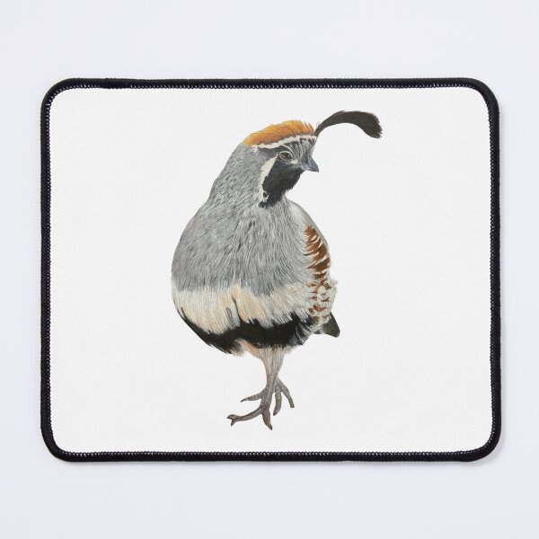 Item preview, Drama King Quail Colored Pencil Drawing designed and sold by Heather Barker.