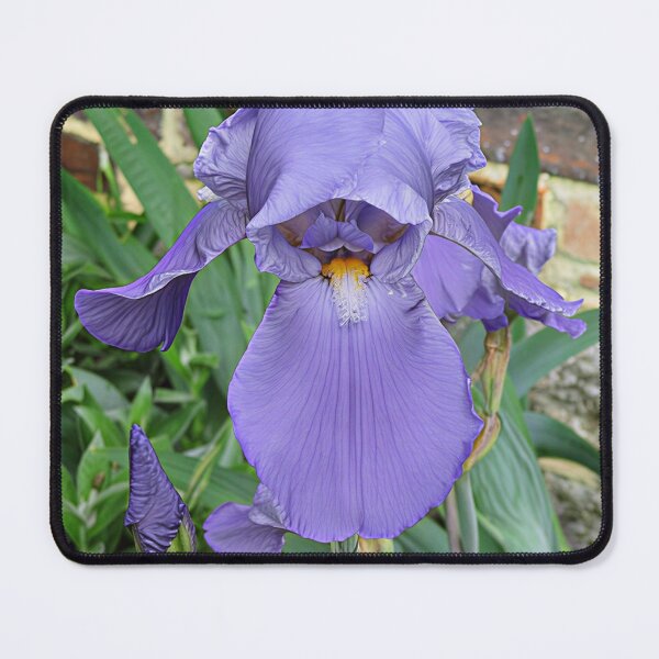 Item preview, Iris designed and sold by Katy Fryd.