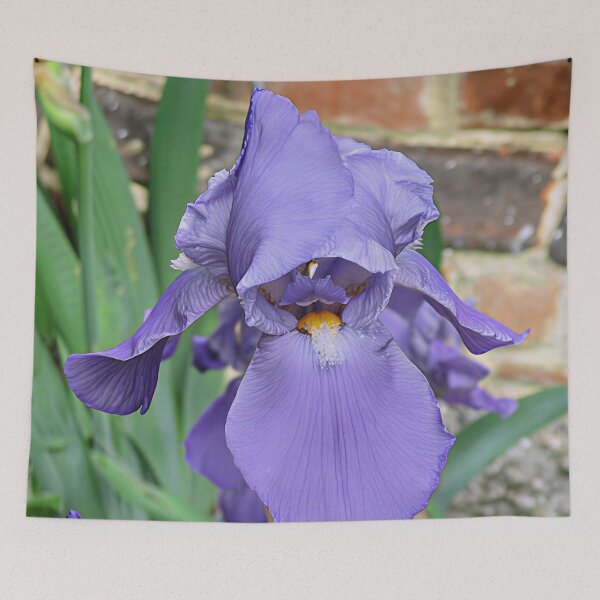 Item preview, Iris III designed and sold by Katy Fryd.