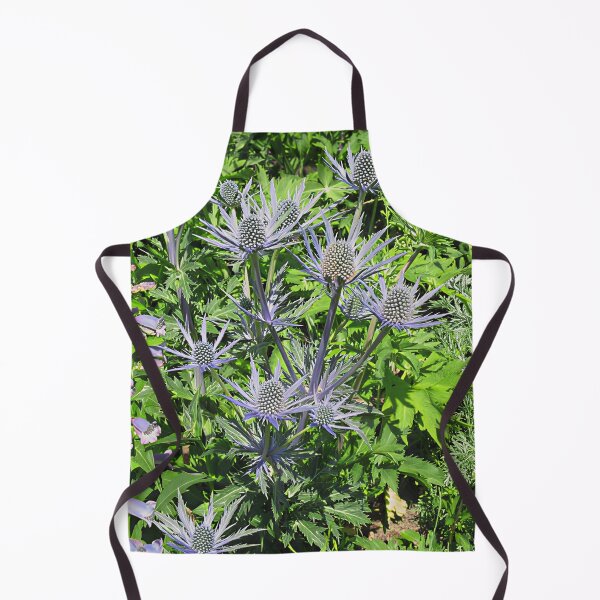 Item preview, Eryngium Zabelli designed and sold by Katy Fryd.