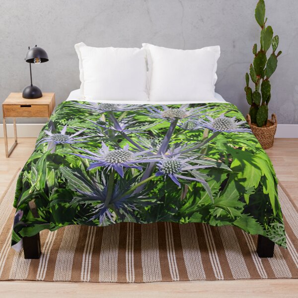 Item preview, Eryngium Zabelli designed and sold by Katy Fryd.