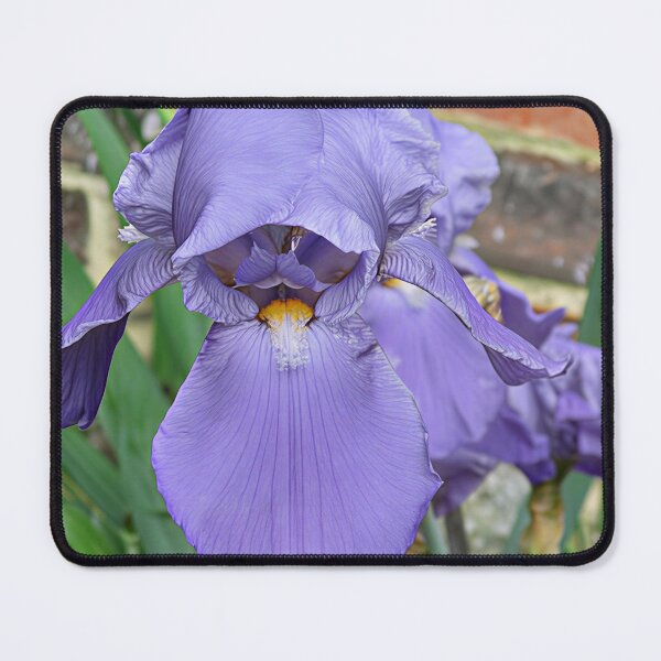 Item preview, Iris II designed and sold by Katy Fryd.