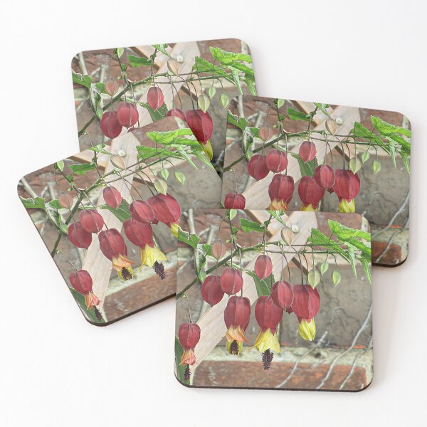 Item preview, Abutilon Kentish Belle designed and sold by Katy Fryd.