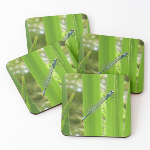 Item preview, Damselfly IV designed and sold by Katy Fryd.