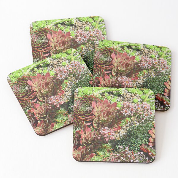 Item preview, Alpines from Beth Chatto gardens II designed and sold by Katy Fryd.