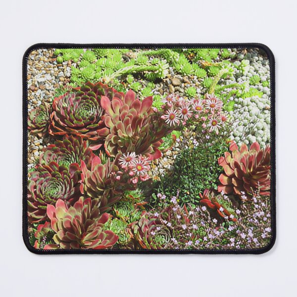 Item preview, Alpines from Beth Chatto gardens designed and sold by Katy Fryd.