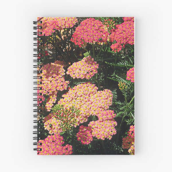 Item preview, Achillea - Lansdorferglut II designed and sold by Katy Fryd.