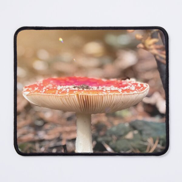 Item preview, Fly Agaric Mushroom in Forest Light – Magical Nature Photography designed and sold by Sarah – Fine Art & Photography.