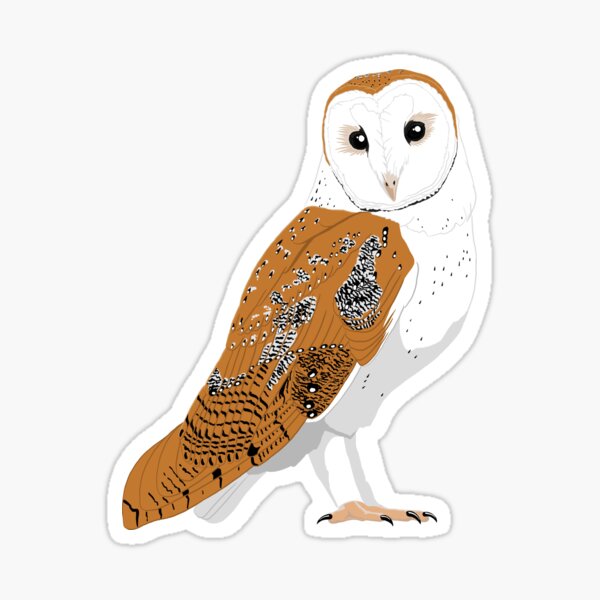 Item preview, Barn Owl designed and sold by BennuBirdy.