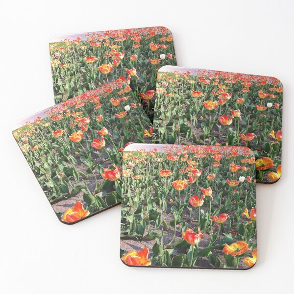 Item preview, Outstanding in a tulip field from A Gardener's Notebook designed and sold by Douglas E. Welch Design and Photography.