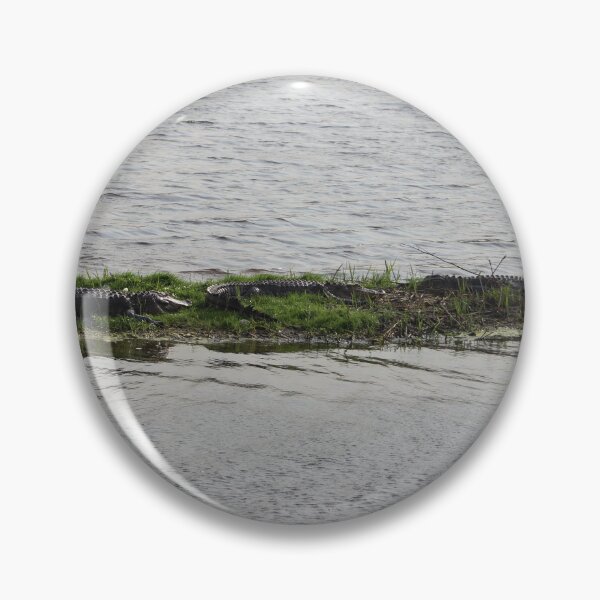 Item preview, Three American Alligators Resting on a Riverbank designed and sold by Cynthia48.