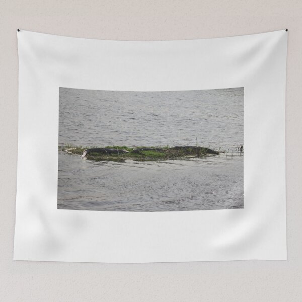 Item preview, Three American Alligators Resting on a Riverbank designed and sold by Cynthia48.
