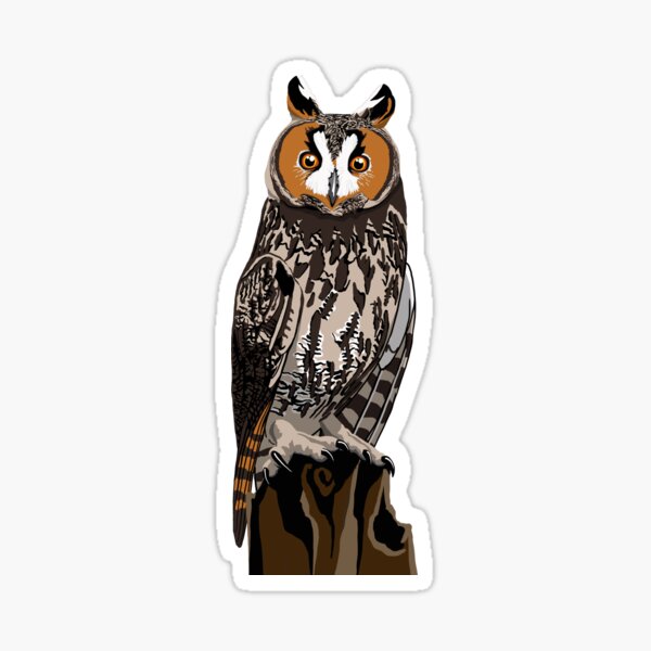 Long-Eared Owl Sticker