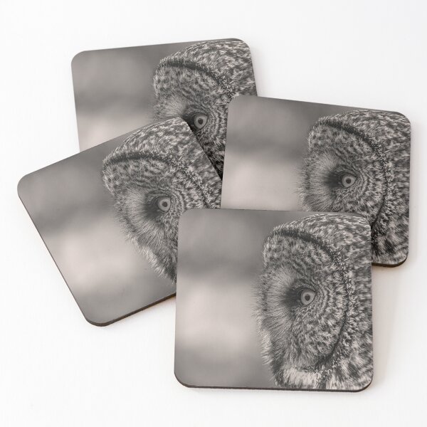 Item preview, Great Gray Owl Portrait B&W  designed and sold by Vargulich.
