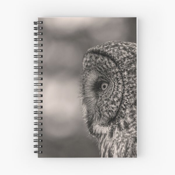 Item preview, Great Gray Owl Portrait B&W  designed and sold by Vargulich.