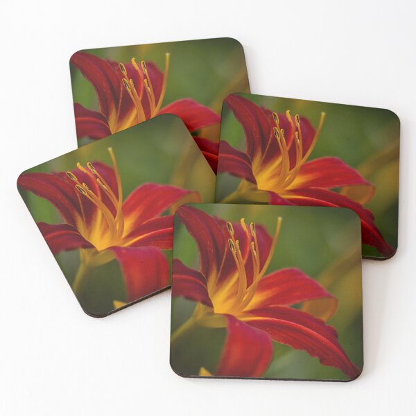 Item preview, Crimson Daylily Macro – Vibrant Red Flower with Golden Center designed and sold by JSFrame.
