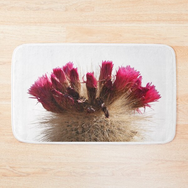 Item preview, Flowering Cactus Bolivia designed and sold by jon-bunston.