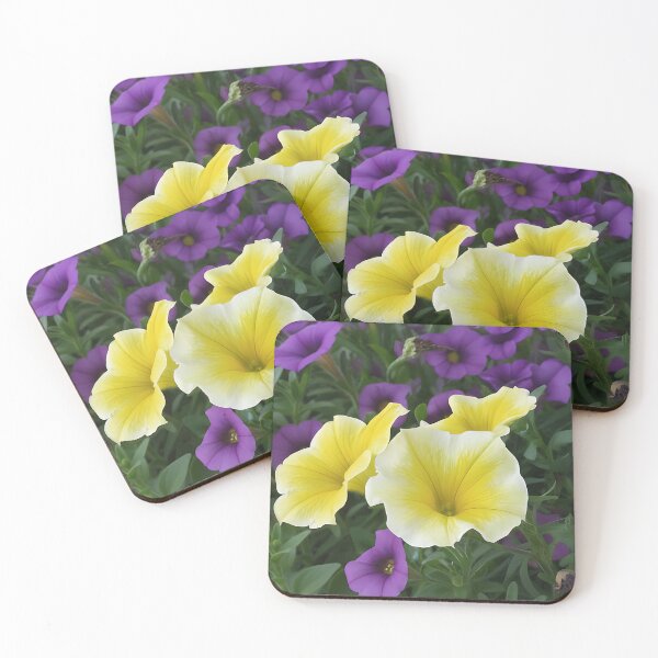 Item preview, Yellow & Purple Blooms | Original Flower Photo | Nature Decor | Garden Art designed and sold by CamirCreations.