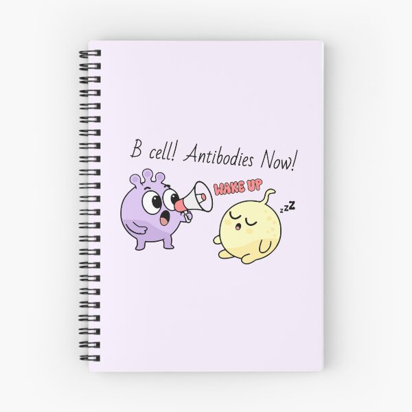 Item preview, B cell! Antibodies Now! - Cute immune cells designed and sold by MicroMarket.
