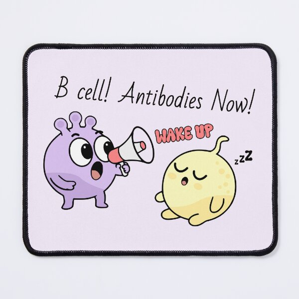 Item preview, B cell! Antibodies Now! - Cute immune cells designed and sold by MicroMarket.