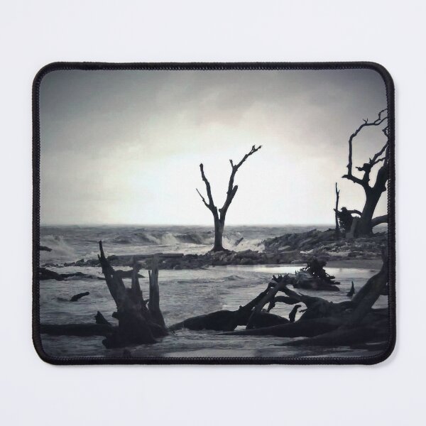 Item preview, Dramatic Tree Skeletons by the Shore designed and sold by The Unpromised Lens.