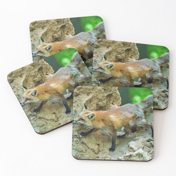 Item preview, Red Fox Spots Prey from an Upturned Tree designed and sold by AMacGPhilly.