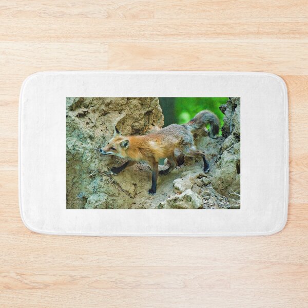 Item preview, Red Fox Spots Prey from an Upturned Tree designed and sold by AMacGPhilly.