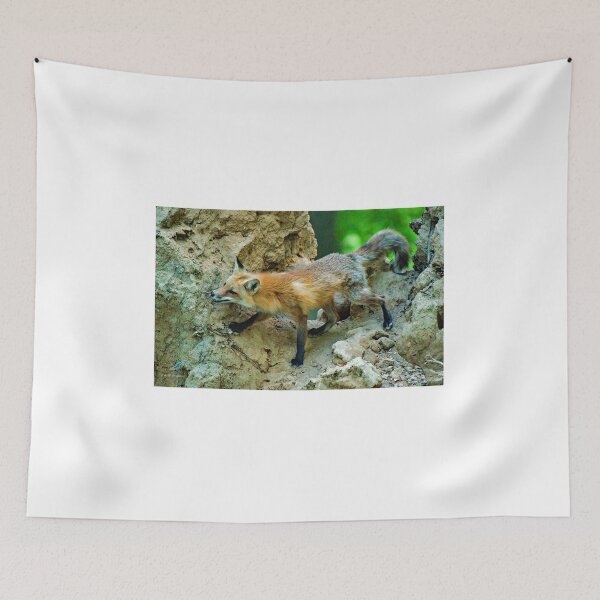 Item preview, Red Fox Spots Prey from an Upturned Tree designed and sold by AMacGPhilly.