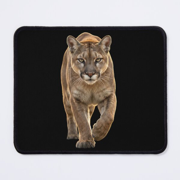 Item preview, Mountain Lion Stalking Portrait — Wild Cat Predator Gift designed and sold by Zippy Creation.