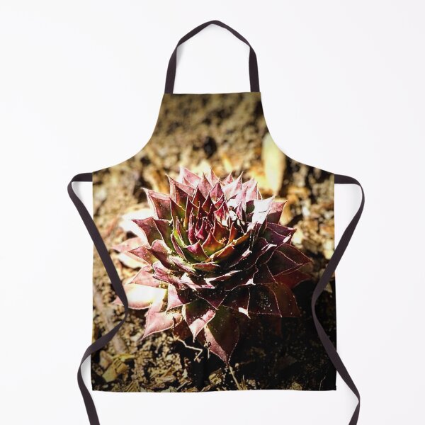 Item preview, Rosette Succulent in Soil designed and sold by Stacey's unpromised.