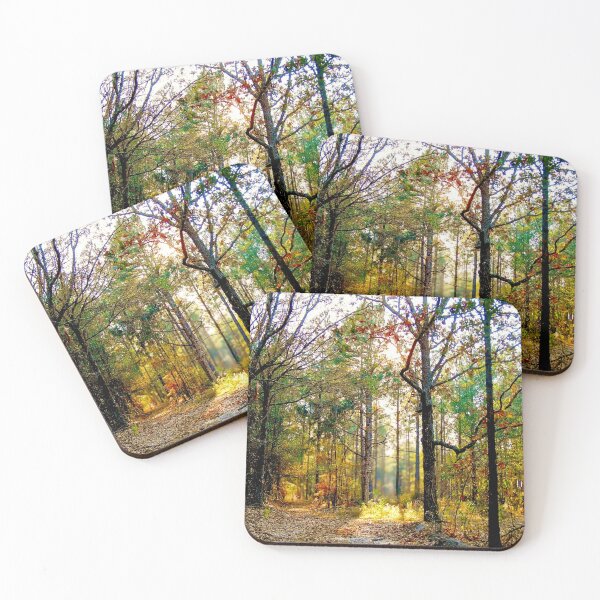Item preview, Sunlit Forest Path in Autumn designed and sold by Stacey's unpromised.