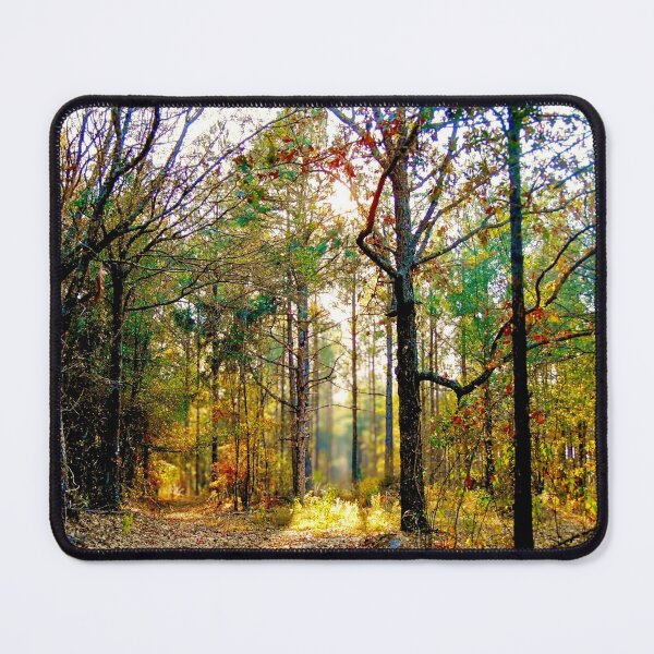 Item preview, Sunlit Forest Path in Autumn designed and sold by The Unpromised Lens.
