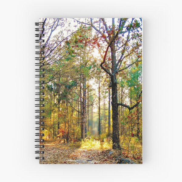 Item preview, Sunlit Forest Path in Autumn designed and sold by Stacey's unpromised.