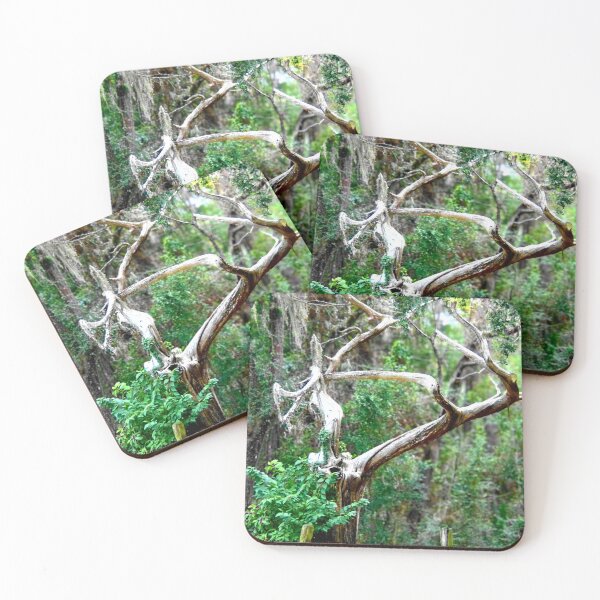 Item preview, Twisted Tree in a Lush Forest designed and sold by Stacey's unpromised.