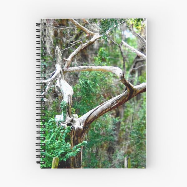 Item preview, Twisted Tree in a Lush Forest designed and sold by Stacey's unpromised.