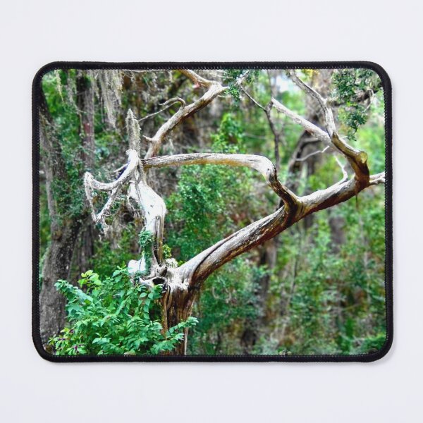 Item preview, Twisted Tree in a Lush Forest designed and sold by Stacey's unpromised.