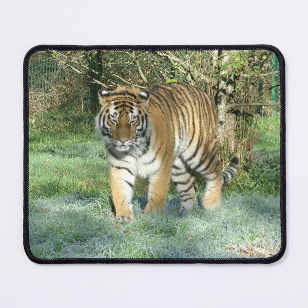 Item preview, Tiger 4 designed and sold by GooglyEyes-.