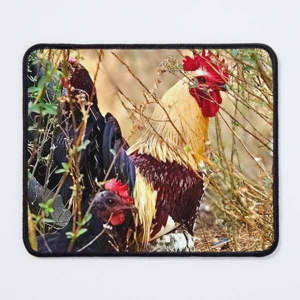 Item preview, Rooster and Hen in the Bushes designed and sold by Stacey's unpromised.
