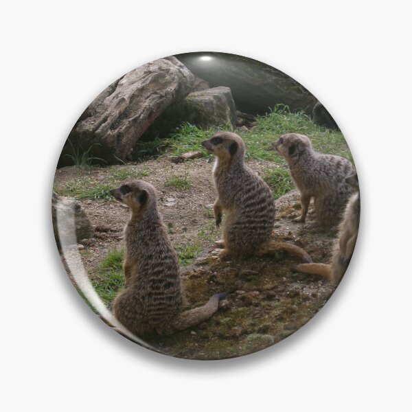 Item preview, Meerkats designed and sold by GooglyEyes-.
