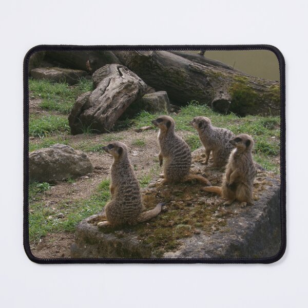 Item preview, Meerkats designed and sold by GooglyEyes-.