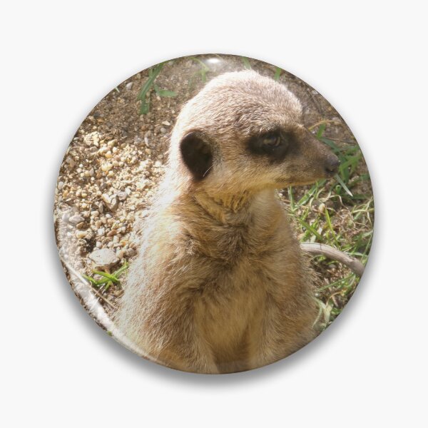 Item preview, Meerkat designed and sold by GooglyEyes-.