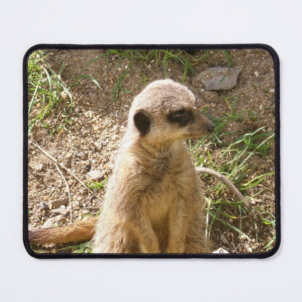 Item preview, Meerkat designed and sold by GooglyEyes-.