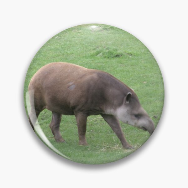 Item preview, Tapir designed and sold by GooglyEyes-.