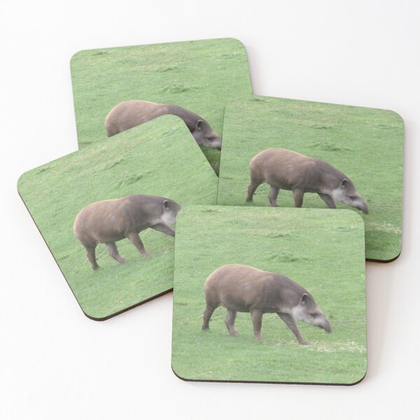 Item preview, Tapir designed and sold by GooglyEyes-.
