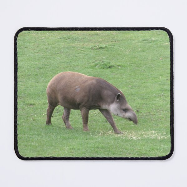 Item preview, Tapir designed and sold by GooglyEyes-.